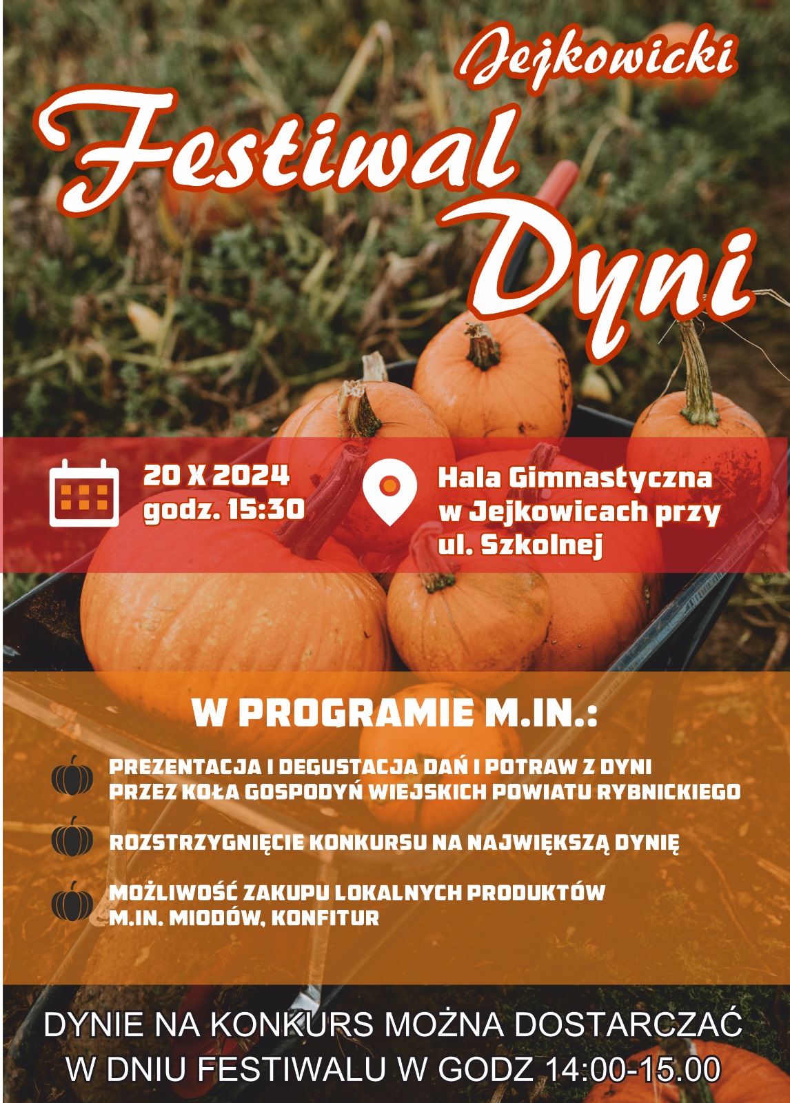 festiwal_dyni_2024