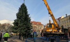 Rybnik szuka jodły na świąteczny rynek - Serwis informacyjny z Raciborza - naszraciborz.pl