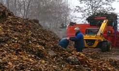 Nie pal liści - oddaj je na kompost - Serwis informacyjny z Wodzisławia Śląskiego - naszwodzislaw.com