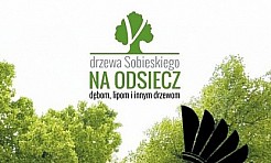 Na odsiecz drzewom - Serwis informacyjny z Wodzisławia Śląskiego - naszwodzislaw.com