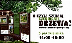 O czym szumią czernickie drzewa? - Serwis informacyjny z Wodzisławia Śląskiego - naszwodzislaw.com