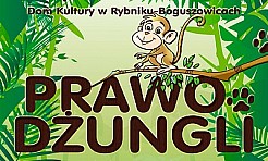 Prawo Dżungli w DK Boguszowice - Serwis informacyjny z Wodzisławia Śląskiego - naszwodzislaw.com