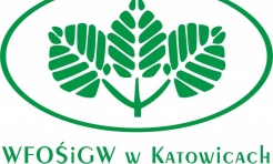 Rozstrzygnięcie naboru wniosków w ramach programu pilotażowego dla osób fizycznych - Serwis informacyjny z Wodzisławia Śląskiego - naszwodzislaw.com