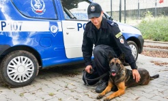 Pies patrolowo-tropiący odnalazł zaginioną kobietę - Serwis informacyjny z Wodzisławia Śląskiego - naszwodzislaw.com