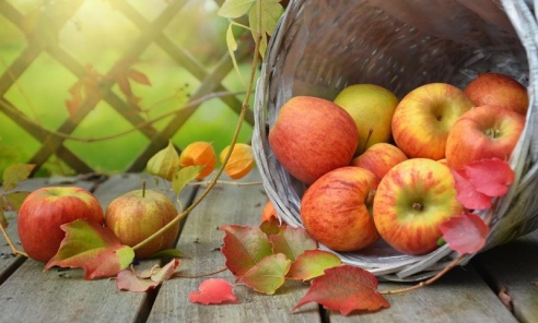 Producenci jabłek mogą liczyć na pomoc - Serwis informacyjny z Wodzisławia Śląskiego - naszwodzislaw.com