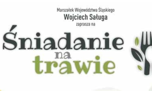 Śniadanie na trawie w Parku Śląskim - Serwis informacyjny z Wodzisławia Śląskiego - naszwodzislaw.com