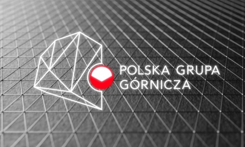 Ogłoszono konkurs na stanowisko prezesa Polskiej Grupy Górniczej - Serwis informacyjny z Wodzisławia Śląskiego - naszwodzislaw.com