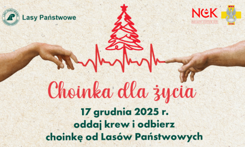 Choinka dla życia: podaruj krew, odbierz świąteczne drzewko Choinka dla życia: podaruj krew, odbierz świąteczne drzewko - Serwis informacyjny z Wodzisławia Śląskiego - naszwodzislaw.com