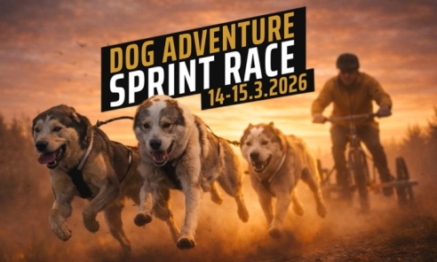 Sportowe emocje, psy i adrenalina – Dog Adventure Sprint Race Sportowe emocje, psy i adrenalina – Dog Adventure Sprint Race - Serwis informacyjny z Wodzisławia Śląskiego - naszwodzislaw.com