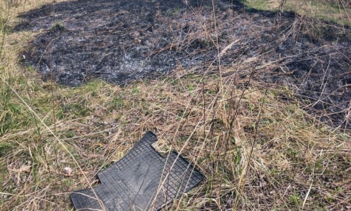 Dzielnicowi z Boguszowic ugasili pożar trawy Dzielnicowi z Boguszowic ugasili pożar trawy - Serwis informacyjny z Wodzisławia Śląskiego - naszwodzislaw.com