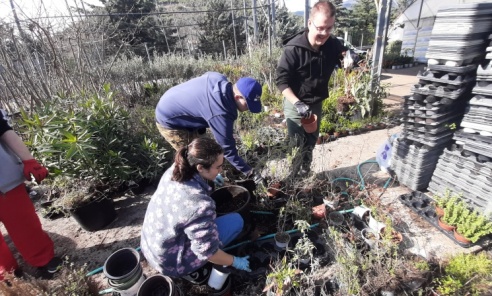 Uczniowie Zespołu Szkół nr 6 w Rybniku na praktykach ogrodniczych w Grecji Uczniowie Zespołu Szkół nr 6 w Rybniku na praktykach ogrodniczych w Grecji - Serwis informacyjny z Wodzisławia Śląskiego - naszwodzislaw.com