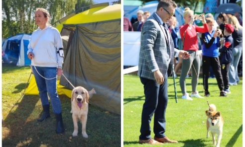 Kamień znów zamienił się w stolicę kynologii. Tłumy wystawców i piękne psy na międzynarodowej wystawie Kamień znów zamienił się w stolicę kynologii. Tłumy wystawców i piękne psy na międzynarodowej wystawie - Serwis informacyjny z Wodzisławia Śląskiego - naszwodzislaw.com