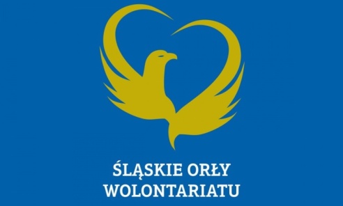 Znacie kogoś, kto bezinteresownie pomaga innym? Można zgłosić go do Śląskich Orłów Wolontariatu Znacie kogoś, kto bezinteresownie pomaga innym? Można zgłosić go do Śląskich Orłów Wolontariatu - Serwis informacyjny z Wodzisławia Śląskiego - naszwodzislaw.com