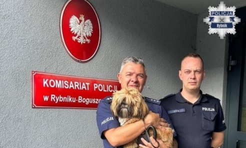 Pies był przywiązany do drzewa w lesie. Pomogli mu dzielnicowi Pies był przywiązany do drzewa w lesie. Pomogli mu dzielnicowi - Serwis informacyjny z Wodzisławia Śląskiego - naszwodzislaw.com