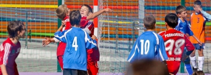 Zarząd Województwa ogłosił konkurs na realizację projektu Junior Sport  - Serwis informacyjny z Wodzisławia Śląskiego - naszwodzislaw.com