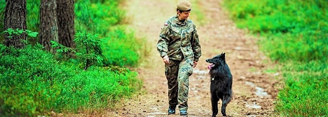 Śląscy Terytorialsi rozpoczęli nabór psów do grupy K9 - Serwis informacyjny z Wodzisławia Śląskiego - naszwodzislaw.com